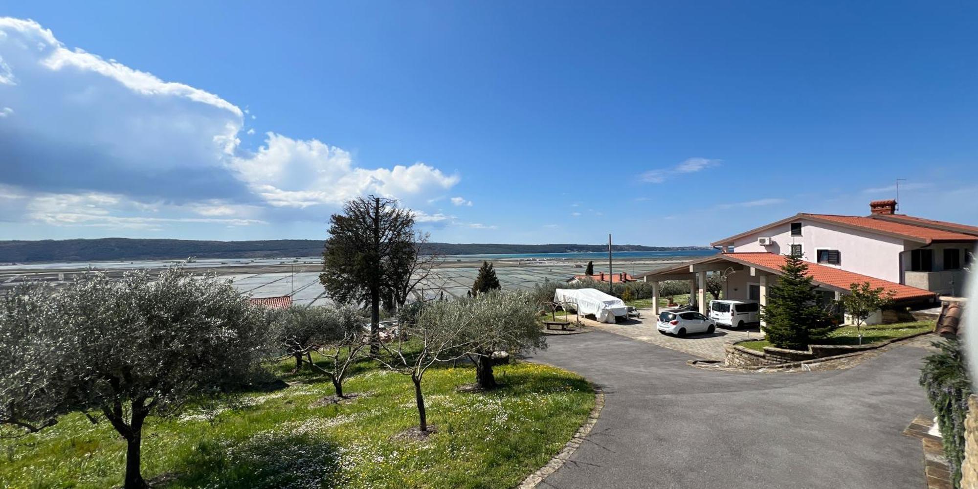 Blue Horizon Apartments Seca Portorož Eksteriør billede